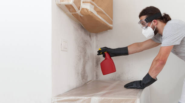 Attic Mold Remediation treatment on roof deck in Hamburg